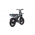 Altec Arion Elektrische Fatbike 20 Inch 7 Versnellingen Hydraulisch Pine Green