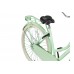 Altec Crown Holland 28 Inch Transportfiets Dame Mint Green