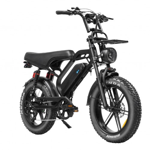 V20 Pro fatbike V20 Pro fatbike