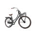 Popal Daily Dutch Prestige Dame 7 Versnellingen Mat Zwart Rollerbrakes